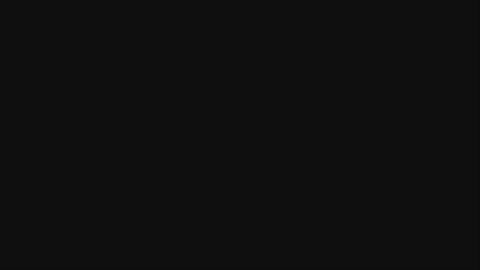 23904